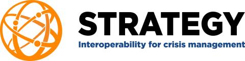 strategy project logo