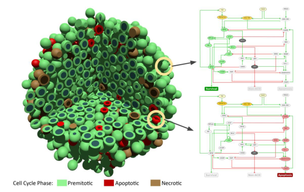 Example of the framework that enables multiscale simulations.